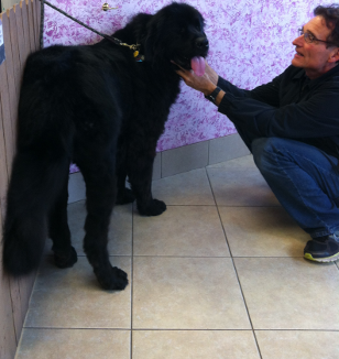 Jack at Michele's Paw Spa Store Front